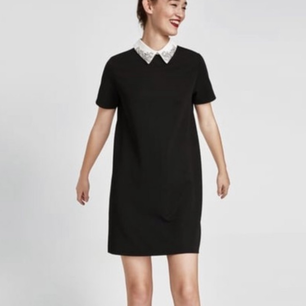 ZARA Black with Bejeweled Collar Dress